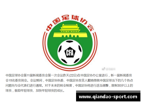 足协新政策：打造球员发展立体化培养体系
